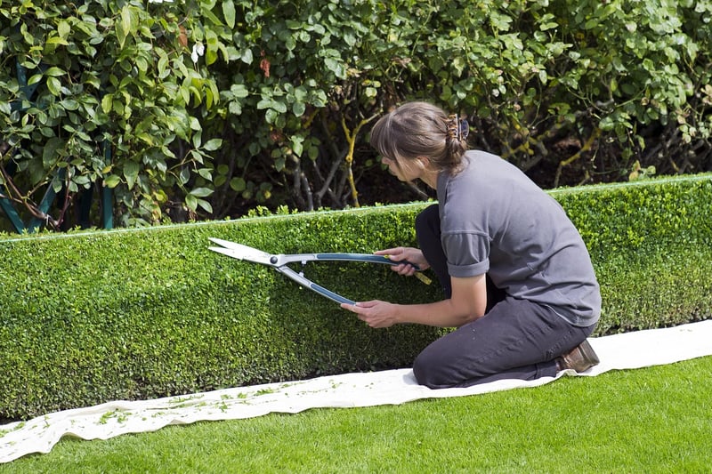 Pruning and trimming